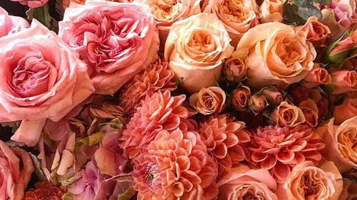 New Year, New Trends