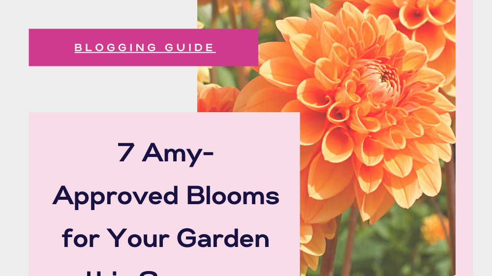 7 Summertime Blooms for Your Garden
