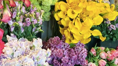 Flower Colors and Their Meanings