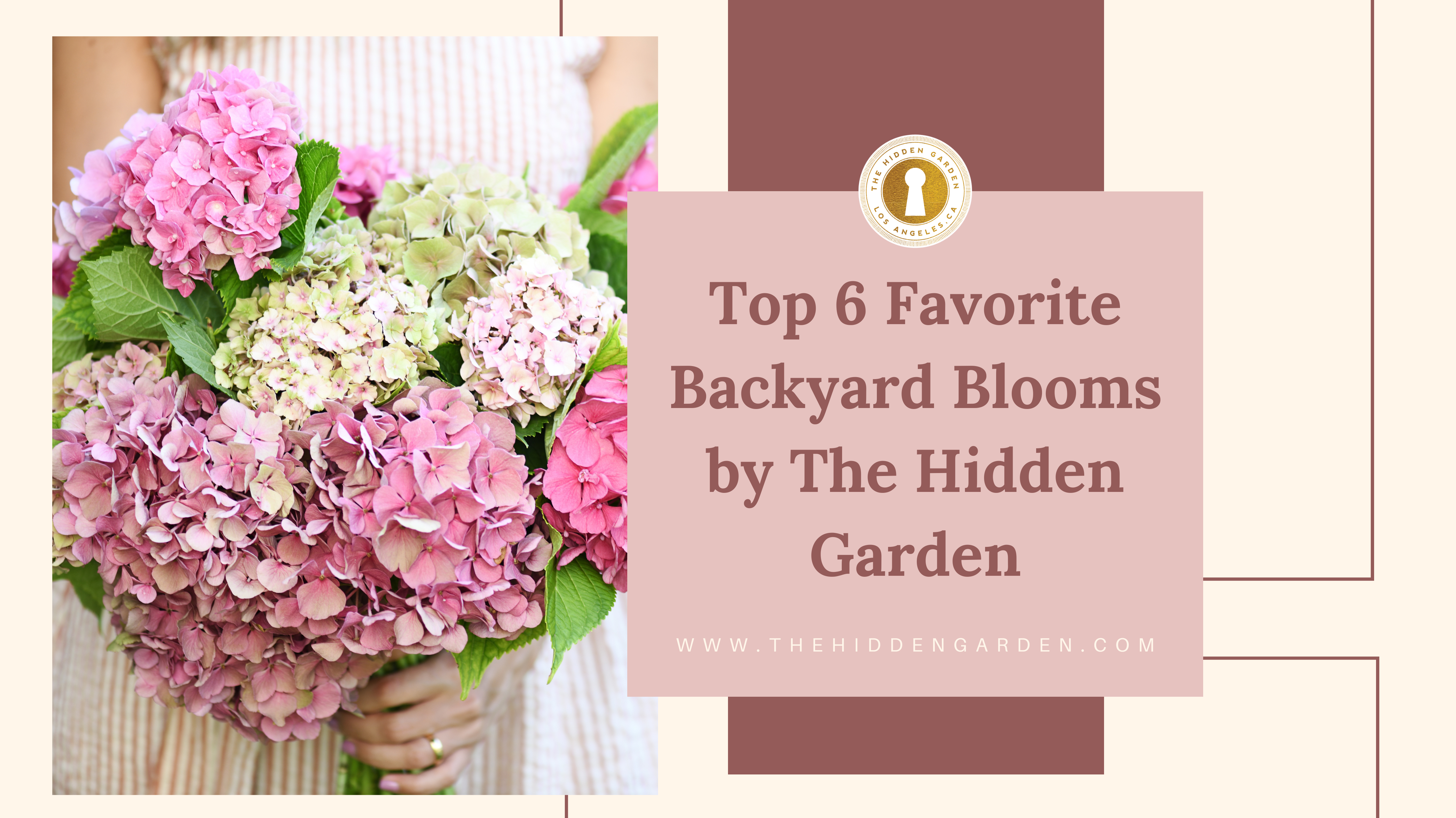 Top 6 Favorite Backyard Blooms by The Hidden Garden