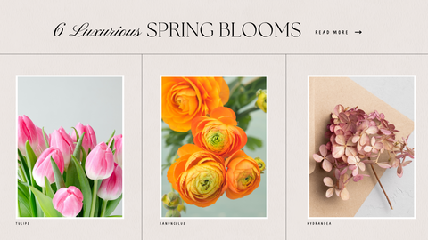 6 Luxurious Spring Blooms To Look For Today
