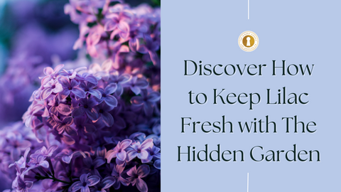 Discover How To Keep Lilac Fresh with The Hidden Garden