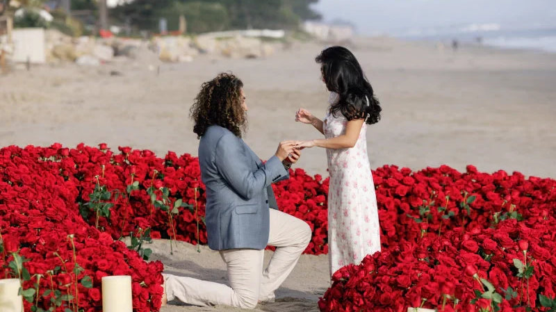 25 Real Pictures of Valentine's Flowers We Photographed Ourselves