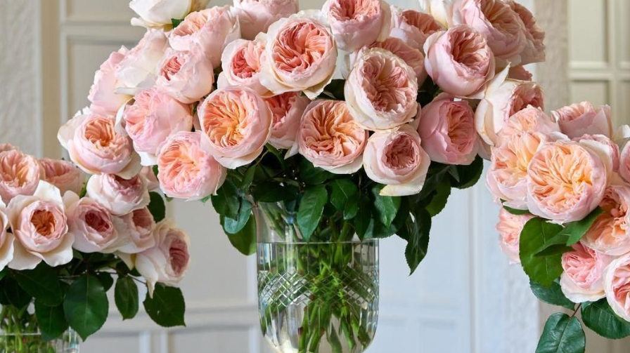 House Blooms: For You and Your Guests