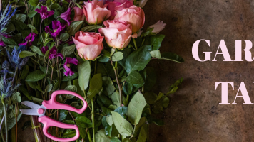 November Birth Flowers: Chrysanthemum & Peony