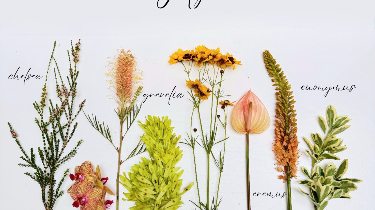 Flowers in July: Birth Flowers, Symbolism, and What's Blooming
