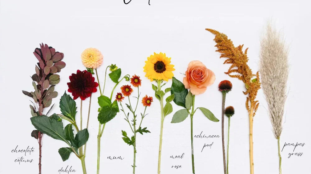 Top 8 Fall Flowers We Love For October