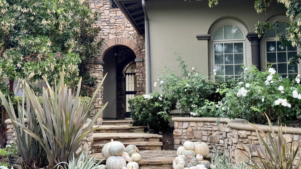 Pumpkin Porch Installations Are Almost Here 🎃✨