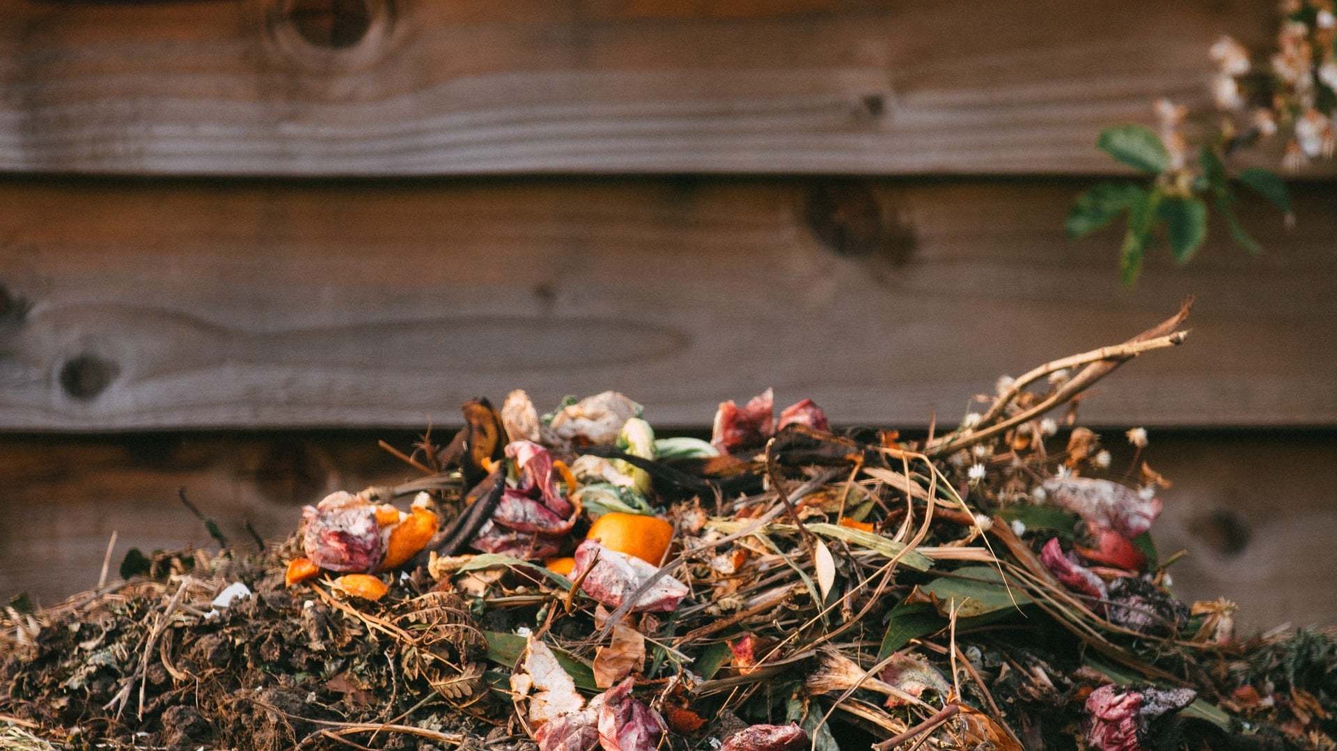 How to Compost Your Flowers At Home