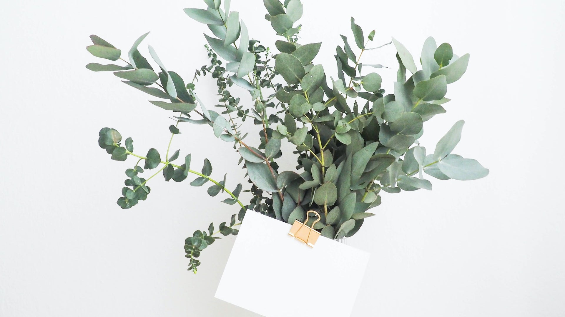 4 Reasons Why You Should Always Send A Note With Your Flower Arrangements