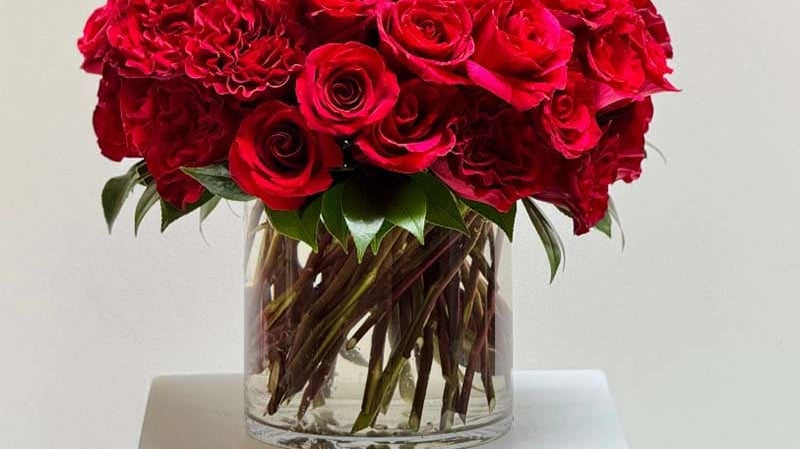 Rose and Honeysuckle: June Birth Flowers and What They Say About You
