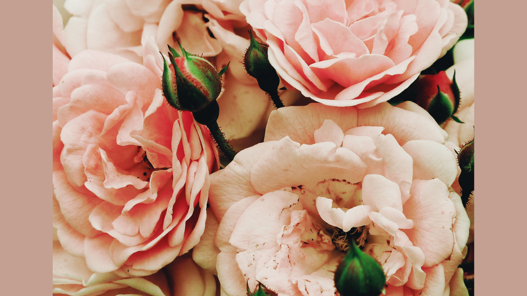 The Perfect Summertime Floral Arrangements