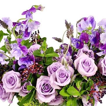Bouquet of purple flowers with green leaves on a white background