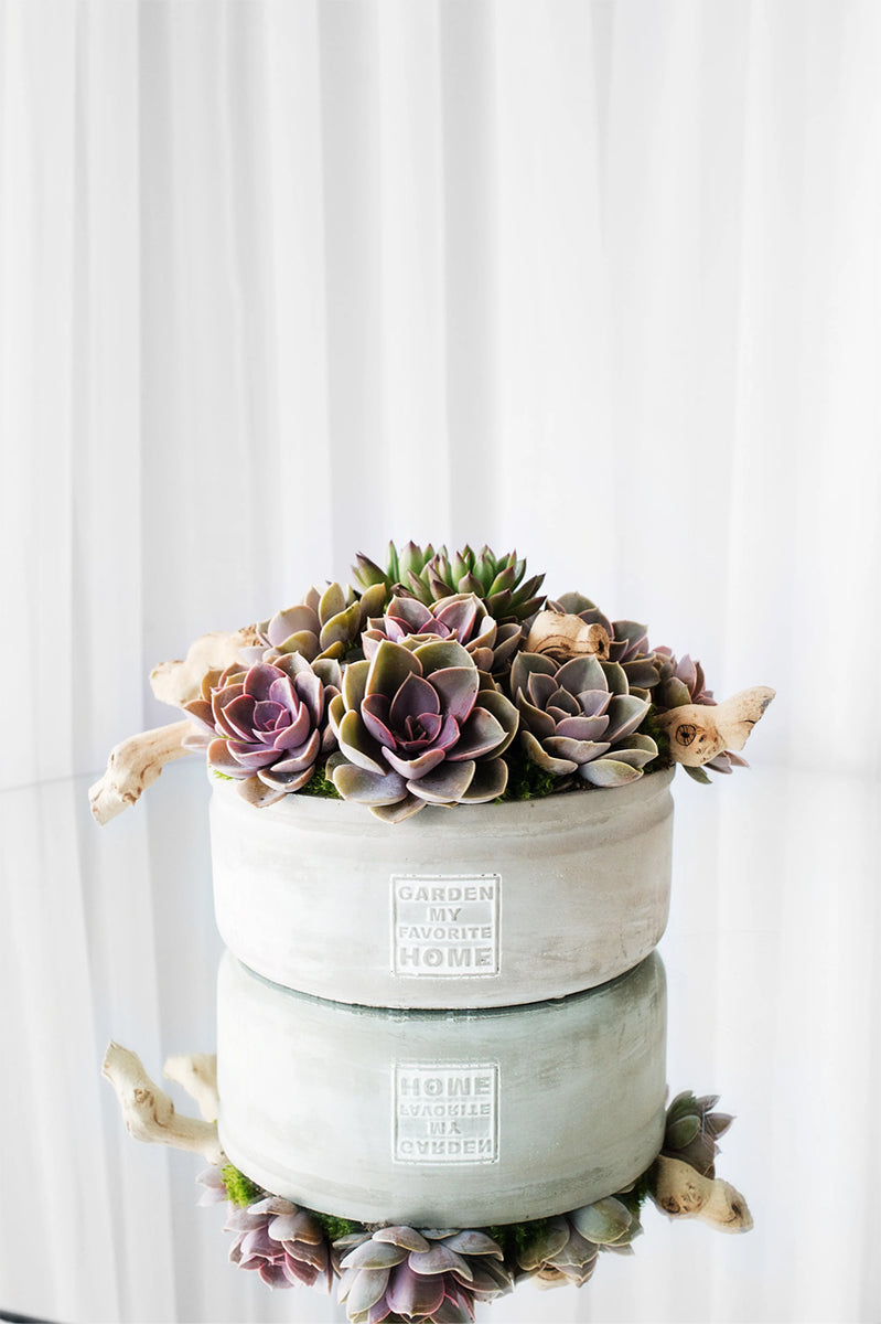 Modern Succulent Planter