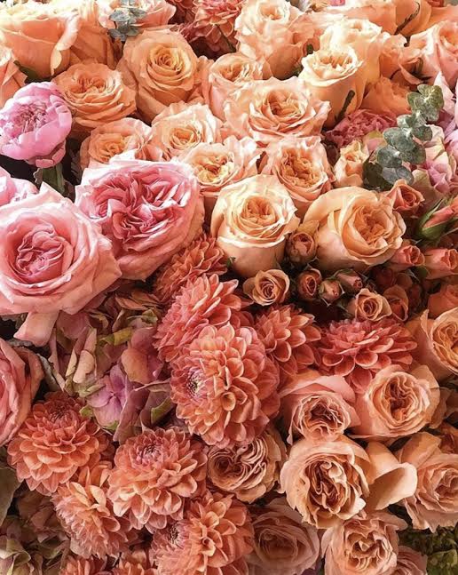 New Year, New Trends