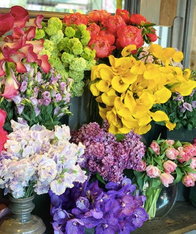 Flower Colors and Their Meanings