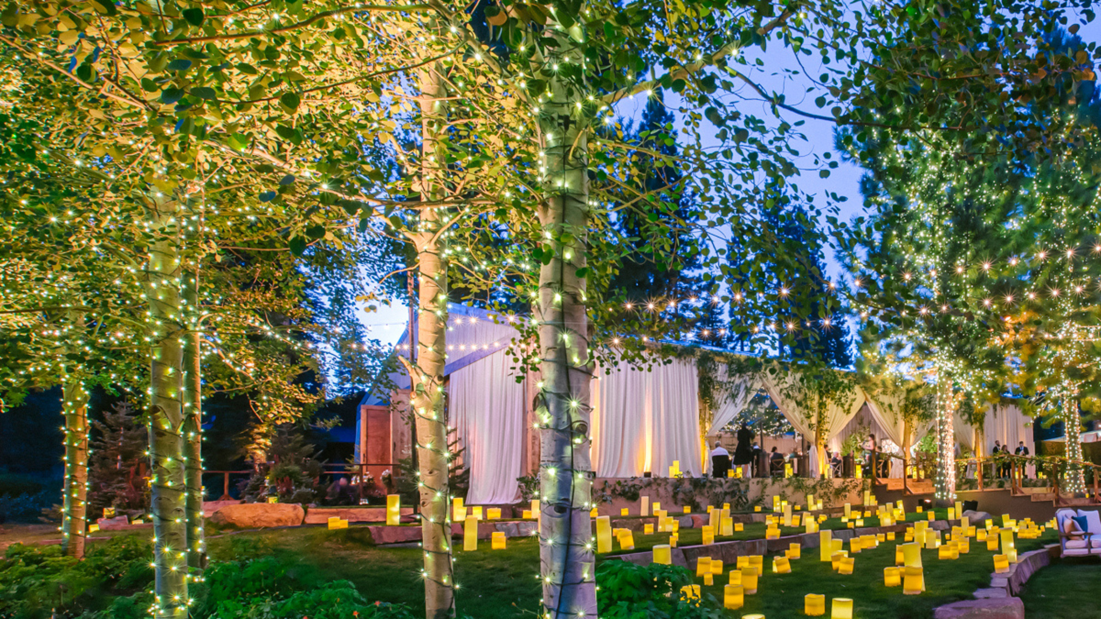 Exclusive Winter Wedding Florals: Must-Know Tips by The Hidden Garden