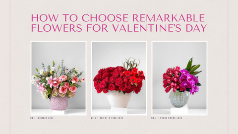 Understanding How To Choose Remarkable Flowers For Valentine's Day