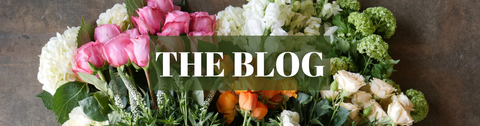 Choosing the Best Flowers for Graduation Day - A Floral Designer’s Guide