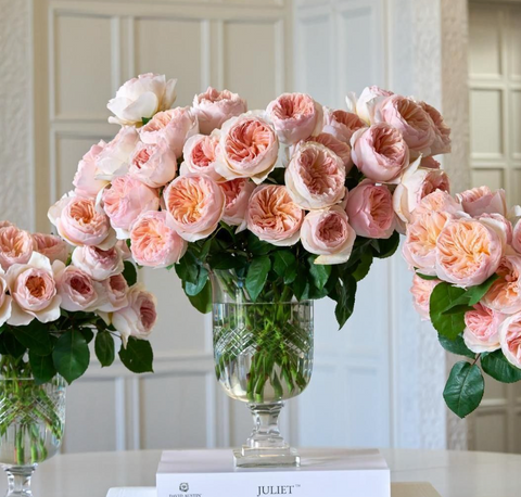 House Blooms: For You and Your Guests