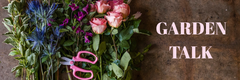 Florist’s Guide To Making The Perfect Graduation Bouquet