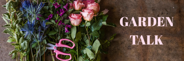 November Birth Flowers: Chrysanthemum & Peony