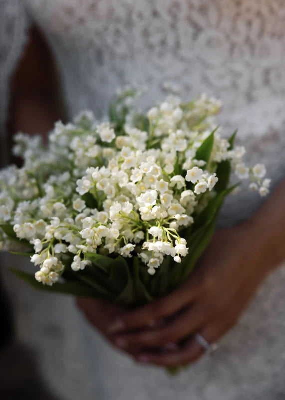 May Birth Flower: What Lily of the Valley and Hawthorn Reveal About You