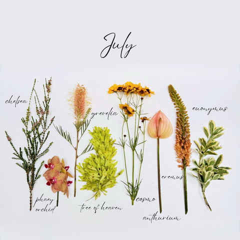 Flowers in July: Birth Flowers, Symbolism, and What's Blooming