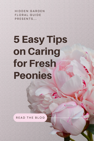 5 Easy Tips on Caring for Fresh Peonies