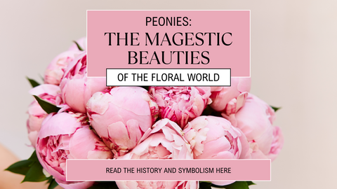 Peonies: The Majestic Beauties of the Floral World