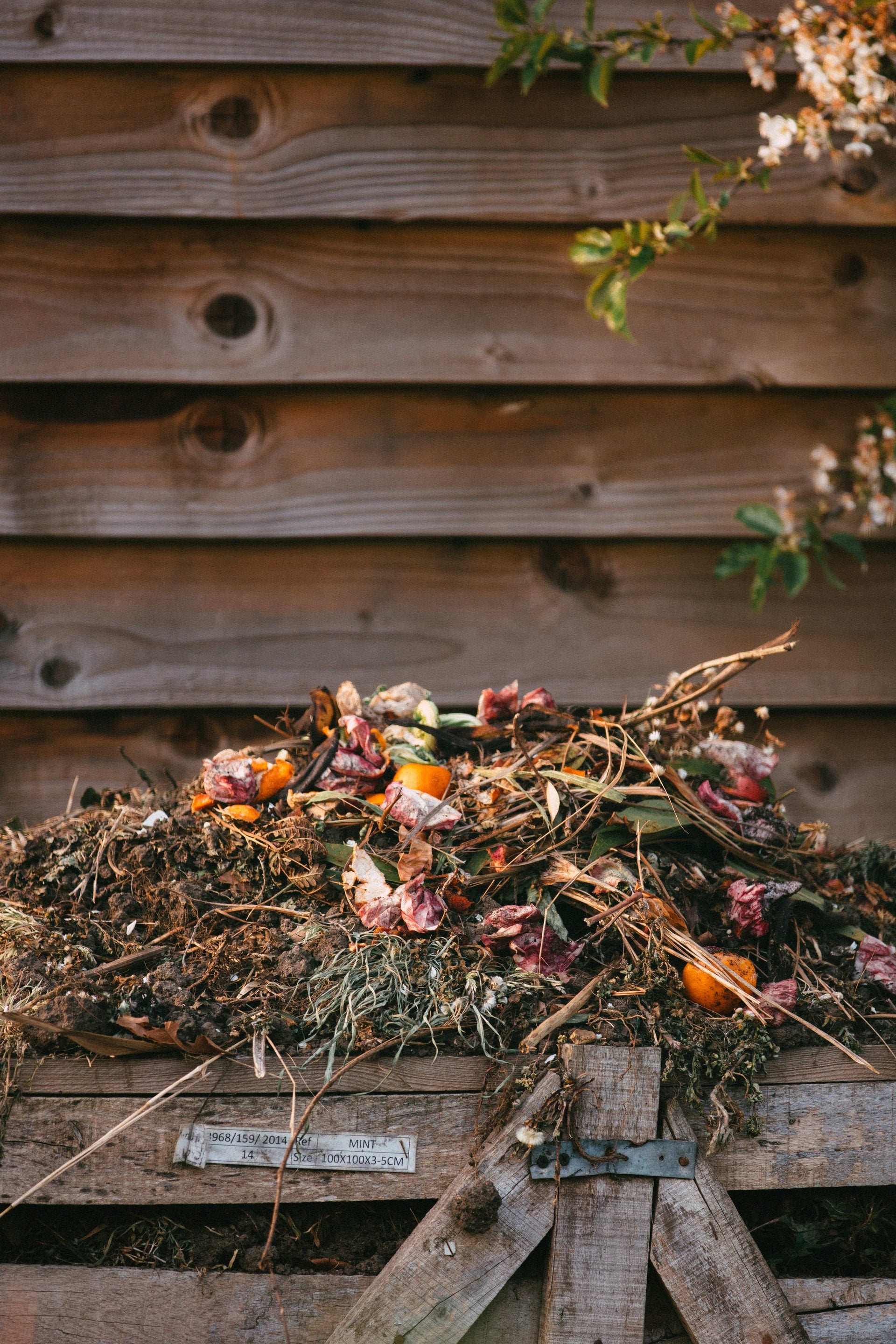 How to Compost Your Flowers At Home