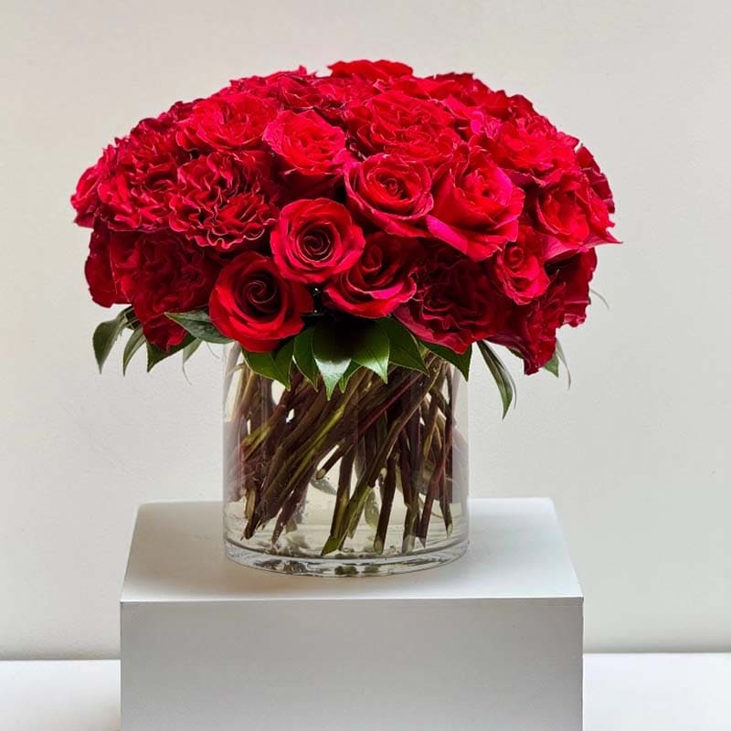 Rose and Honeysuckle: June Birth Flowers and What They Say About You