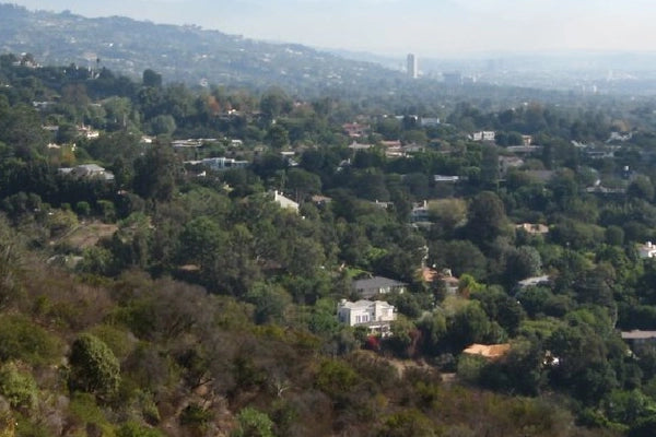 Bel Air  Flower Delivery