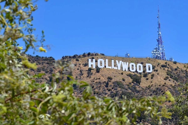 Hollywood Flower Delivery