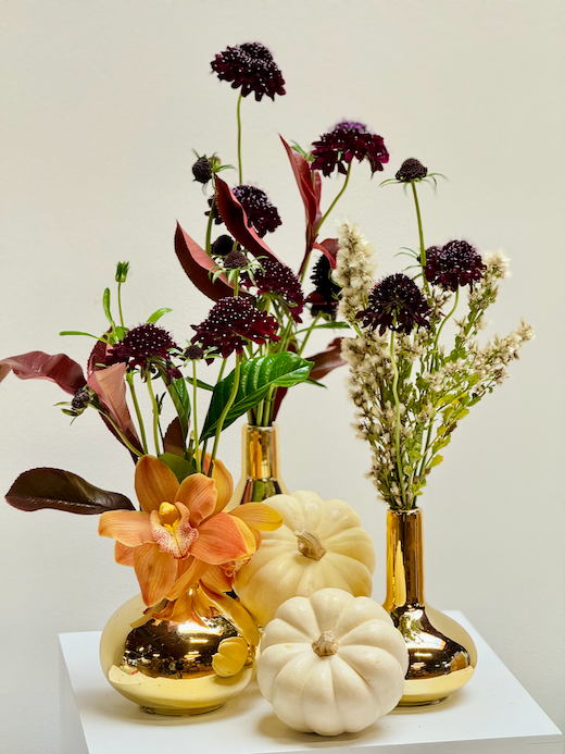 AUTUMNAL TRIO <br> (Scabiosa, Riceflower, Etc.)