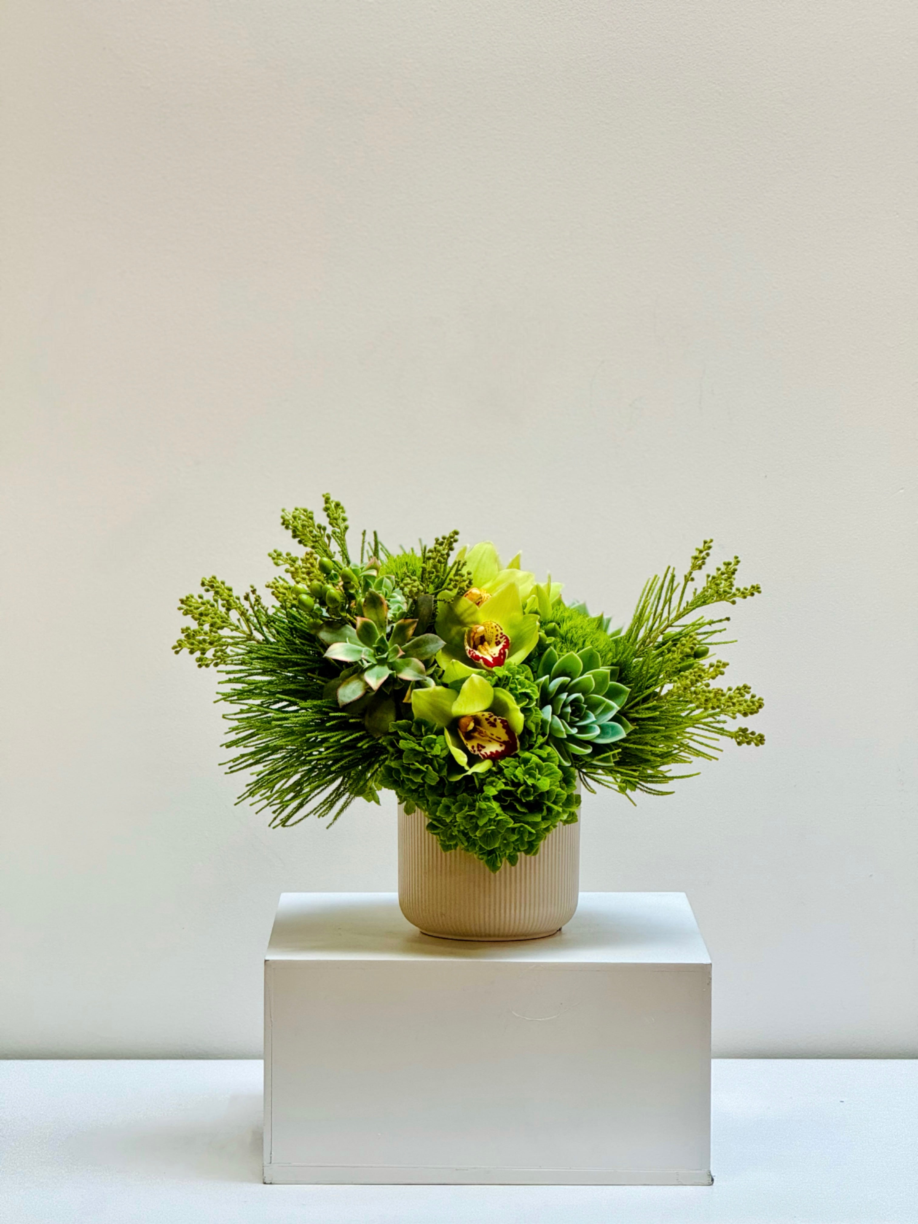 【海外限定】 LuckyGreen.jpg?v=1737750231 バレエ