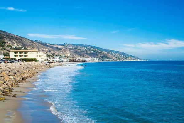 Malibu Flower Delivery