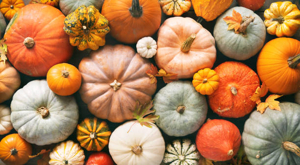 Pumpkinscape