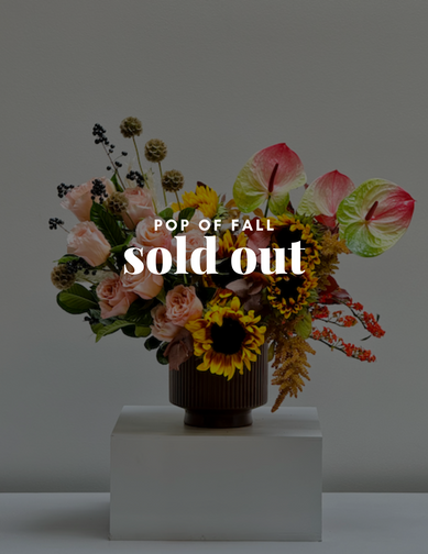 Pop of Fall (Sunflowers, Roses, Etc.)