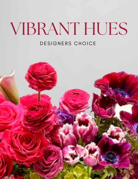 Vibrant Hues - Designer's Choice