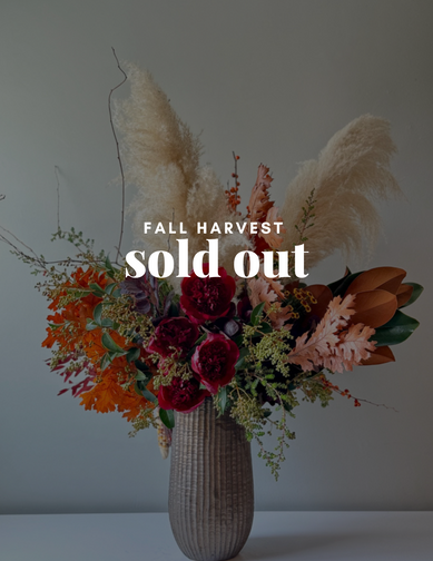 Fall Harvest <br> (Pampas Grass, Privett Berries, Etc.)
