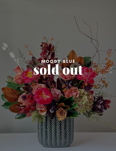Moody Blue <br> (Roses, Hydrangea, Etc.)