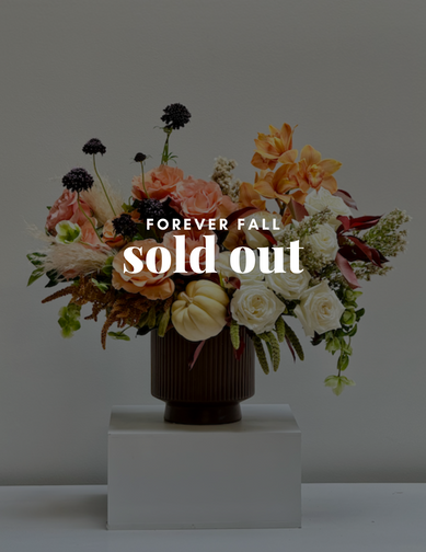 Forever Fall <br> (Roses, Helleborus, Etc.)