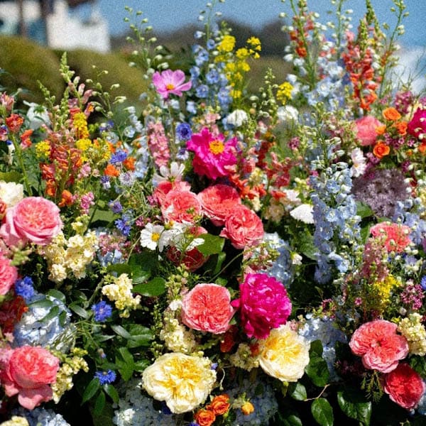 Bouquet of colorful flowers with pink, yellow, and blue flowers.