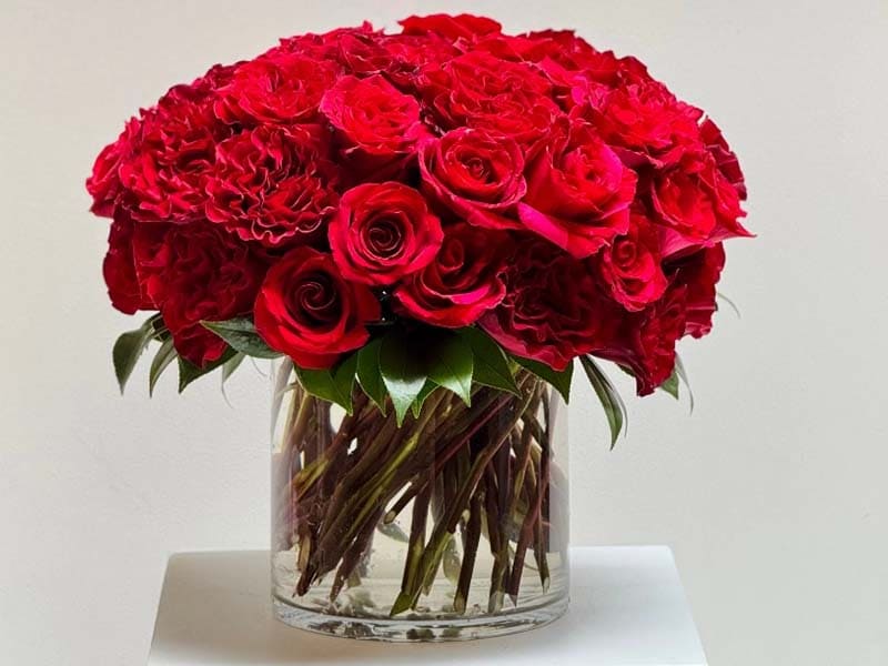 Roses