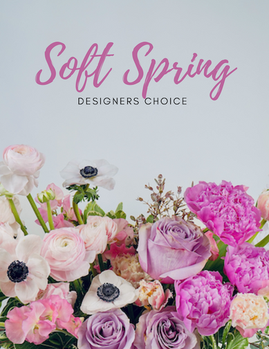 Soft Spring <br> Designer's Choice <br> $100-300