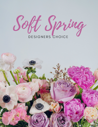 Soft Spring Designer's Choice $100-300